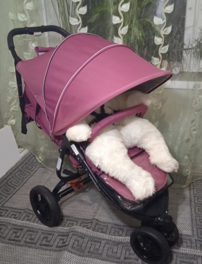 Коляска прогулочная Valco baby Snap 3 Tailormade (Wine) (5м-4л)