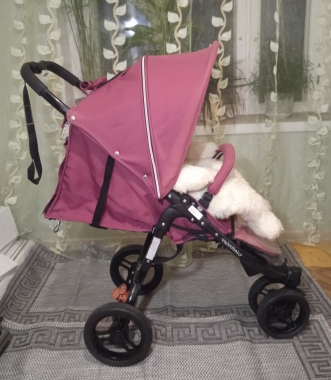 Коляска прогулочная Valco baby Snap 3 Tailormade (Wine) (5м-4л)